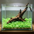 thumbnail image 6 of 50 Pieces Glow in The Dark Aquarium Stones, Fluorescent Fish Tank Rocks, Luminous Shell Decor for Aquatic Plants, Safe Ambient Lighting for Shrimp and Betta Fish, Neon Aquarium Stones, Green, 6 of 6