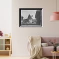 thumbnail image 3 of Historic Framed Print, Collie's head - 5, 17-7/8" x 21-7/8", 3 of 9