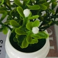 thumbnail image 6 of Cheers.US 2Pcs/Set Artificial Potted Plants Mini Fake Plants, Small Plant Potted Faux Rosemary Green Decorative Plant with Plastic White Pot for Home Decor, Indoor, Office, Desk, Shelf, 6 of 8