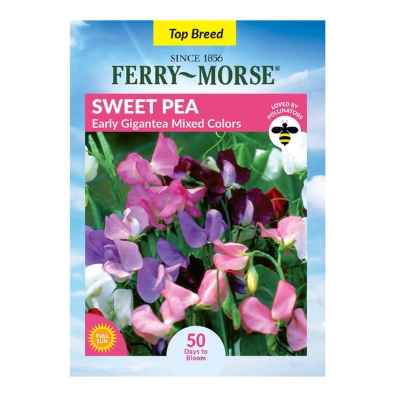 Ferry-Morse 1.7G Sweet Pea Early Gigantea Annual Flower Seeds, Full Sun