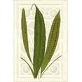 thumbnail image 2 of Vision Studio 17x24 White Modern Wood Framed Museum Art Print Titled - Garden Ferns VI, 2 of 4