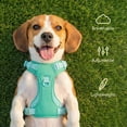 thumbnail image 5 of Oodles Adjustable Dog Walking Harness with Handle, Green, Medium, 5 of 12