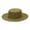 Green, variant on Wide Brim Sun Hats Fashion Trendy Colour Boater Shapesombrero Winter Warm Outdoor Dresshat,Black Polyester Sun Hat