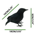 thumbnail image 3 of Momihoom Halloween Realistic Artificial Crows Fake Feather Birds Ravens for Christmas Party Props Supplies Decorations Crow Model Halloween Birds Scary Ravens Halloween Decorations, 3 of 9