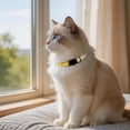 thumbnail image 2 of Mumup Rhinestone Cat Collar Breakaway, Soft Velvet Cat Collars with Bell, Adjustable Comfortable Cats Collar, 7.5-12.5 Inch for Cat, Kittens and Puppies, 2 of 7