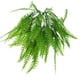 thumbnail image 5 of Simulación de rama de hoja artificial de plástico, flor verde, decoración para el hogar y la boda. C, 5 of 9