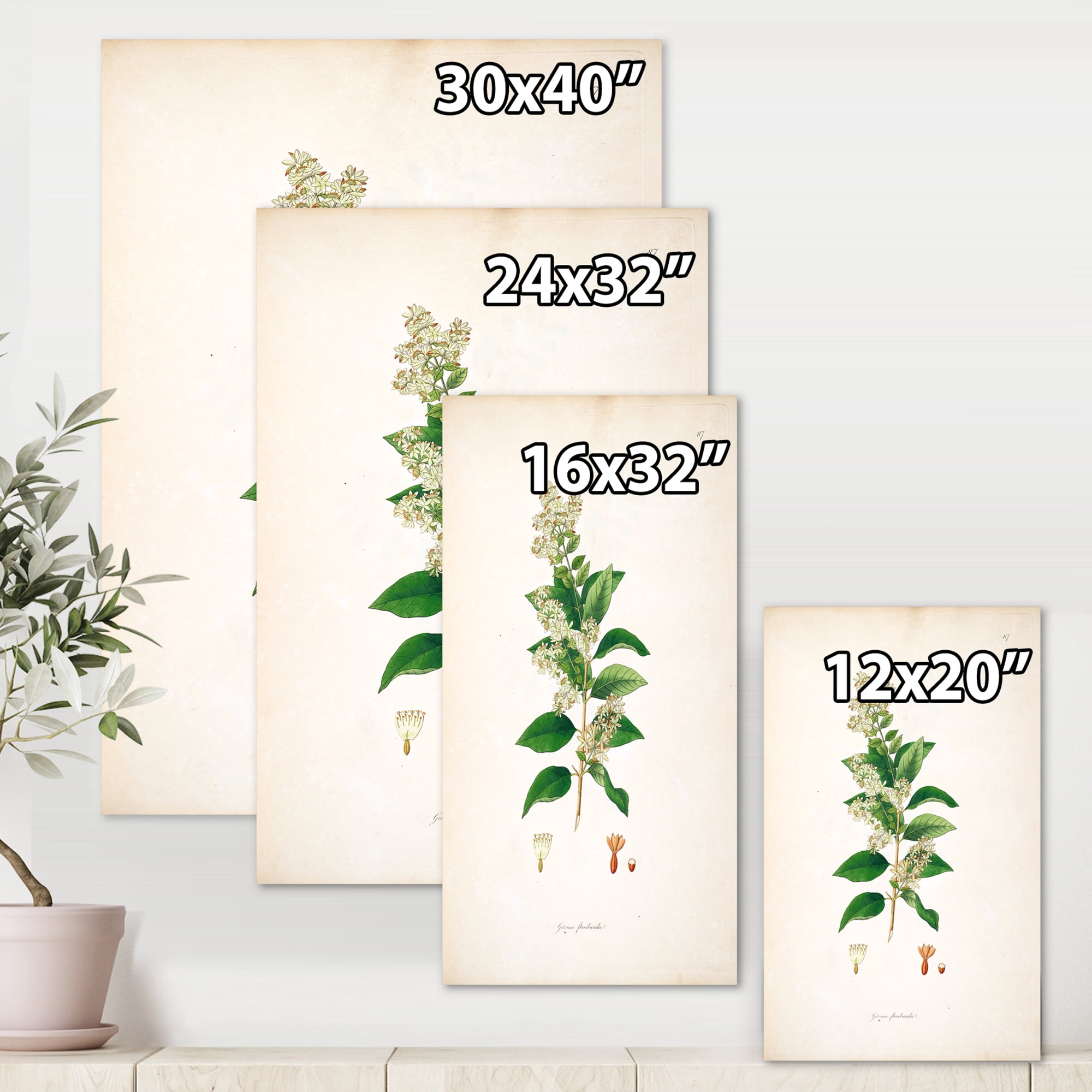 Designart ' Ancient Botanicals XVII ' Farmhouse Canvas Wall Art Print