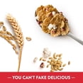 thumbnail image 4 of Kellogg's Special K Fruit and Yogurt Cold Breakfast Cereal (Pack of 2), 4 of 9