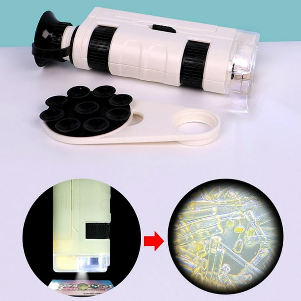 Microscopio para niños Microscopio de mano, ligero, portátil, fotografía de 1080p, de 80-120X , Blanco CUTICAT microscopio de mano para niños