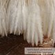 thumbnail image 4 of Paquete de 30 floreros secos artificiales de hierba de pampa de 60 cm, pampas gr, 4 of 5