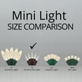 thumbnail image 2 of Wintergreen Lighting T5 LED Mini Lights Brown Wire Christmas Lights, Brown Wired Clear Mini Lights, LED Christmas Lights, 50 Lights, 2 of 8