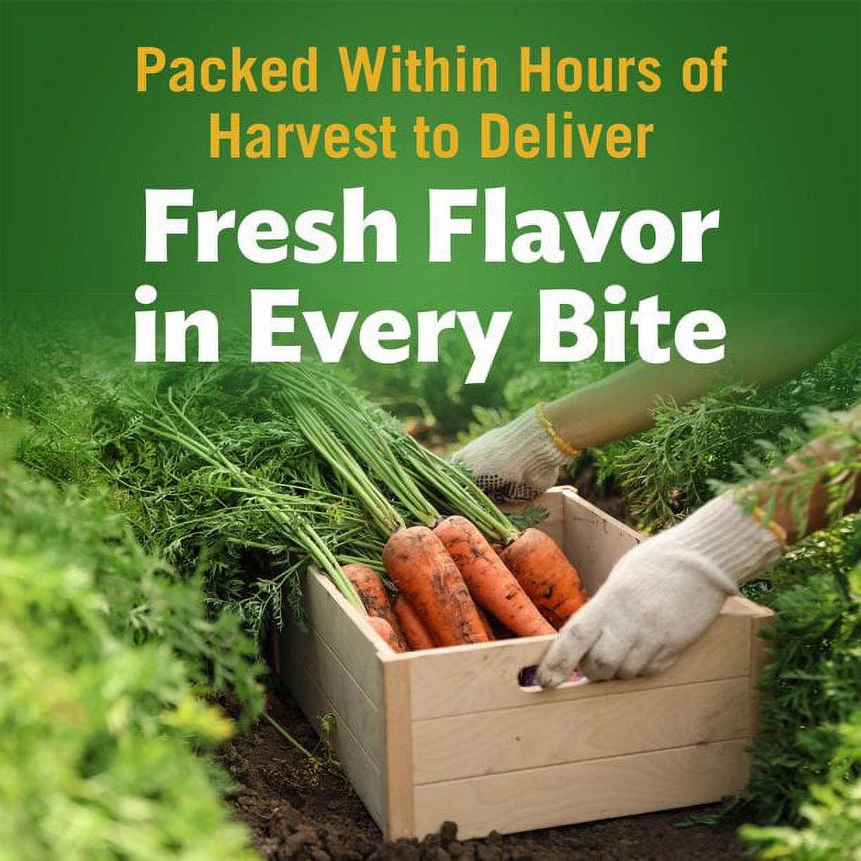 Del Monte Sliced Carrots, Canned Vegetables, 14.5 oz Can, Quantity of 12