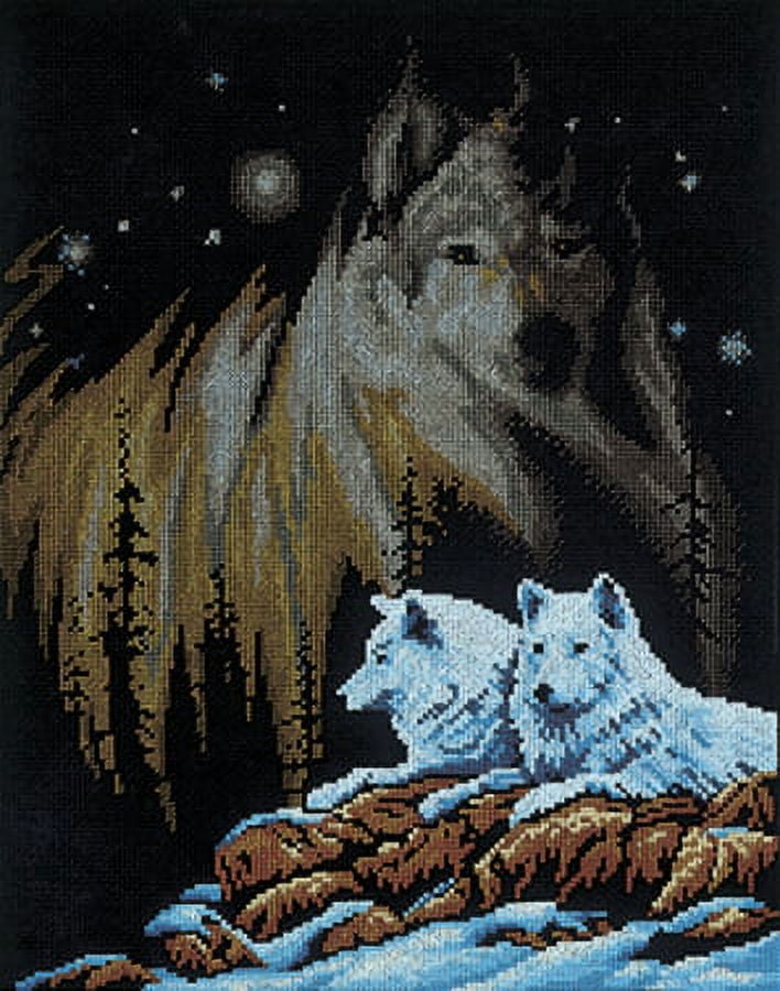 Janlynn Counted Cross Stitch Kit 11"X14"-Northern Lights (14 Count)