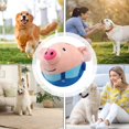 thumbnail image 6 of ACDANC Active Moving Pet Plush Toy,Moving Dog Toys for Small Dogs,Upgrade Interactive Dog Toys for Small Medium Dogs,Squeaky Moving Dog Ball Toy,Washable Cartoon Pig Plush Sound Electronic Dog Toys, 6 of 6