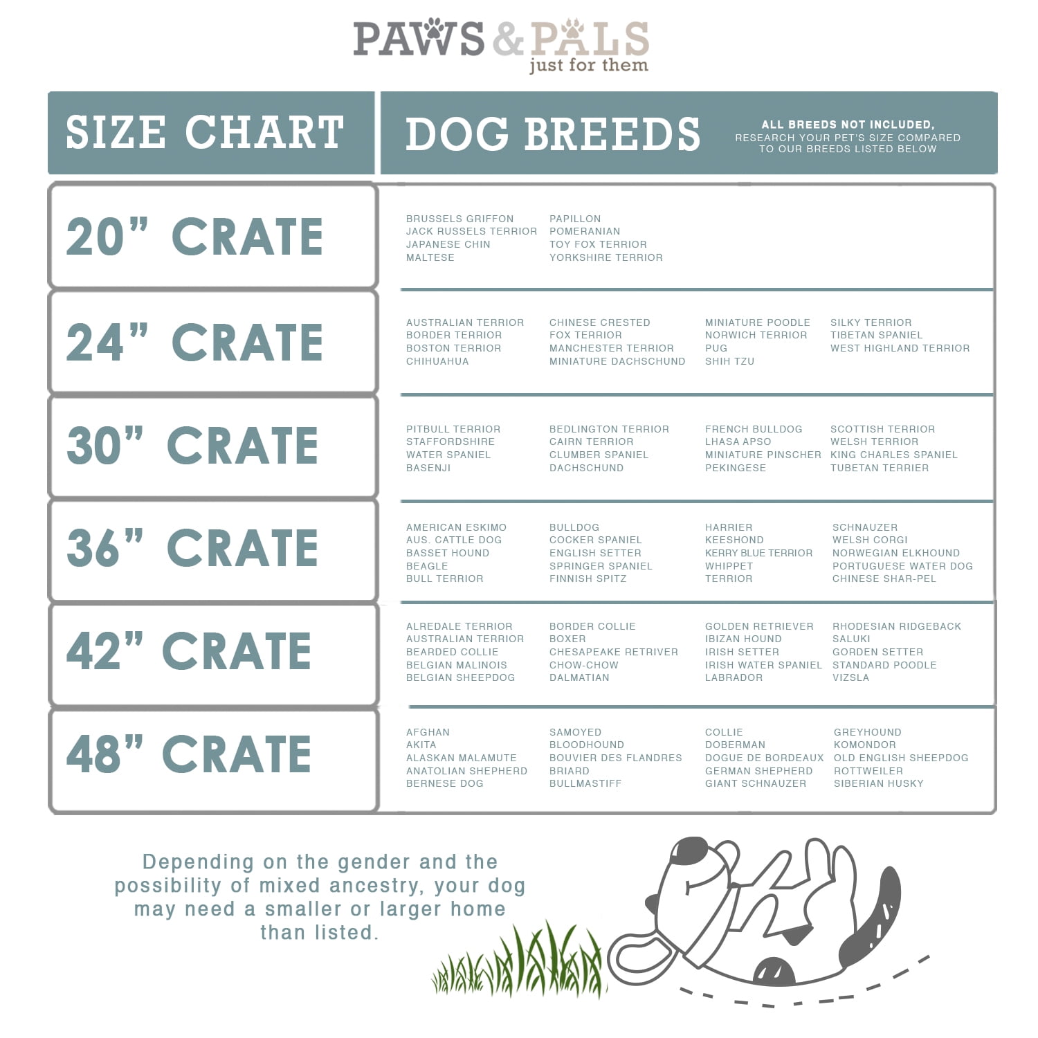 paws and pals dog crate