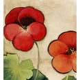 thumbnail image 2 of PI Studio 12x13 Black Ornate Wood Framed with Double Matting Museum Art Print Titled - Tropical Brights, 2 of 4