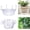 6 in, variant on Hanging Basket Water Catcher, 6-12 Inch Clear Plastic Hanging Basket Saucer Drip Pan, Hangings Plant Water Tray with Built-in Hooks for Indoor Outdoor Hangings Baskets Plants