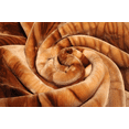 thumbnail image 7 of Solaron Queen Lion Korean Acrylic Blend Blanket, 7 of 7