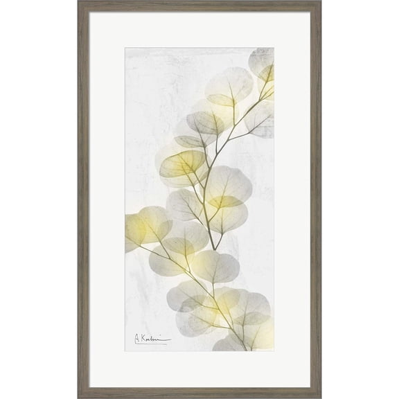 Great Art Now Eucalyptus Sunshine 2 by Albert Koetsier, Framed Wall Art, 16W x 26H
