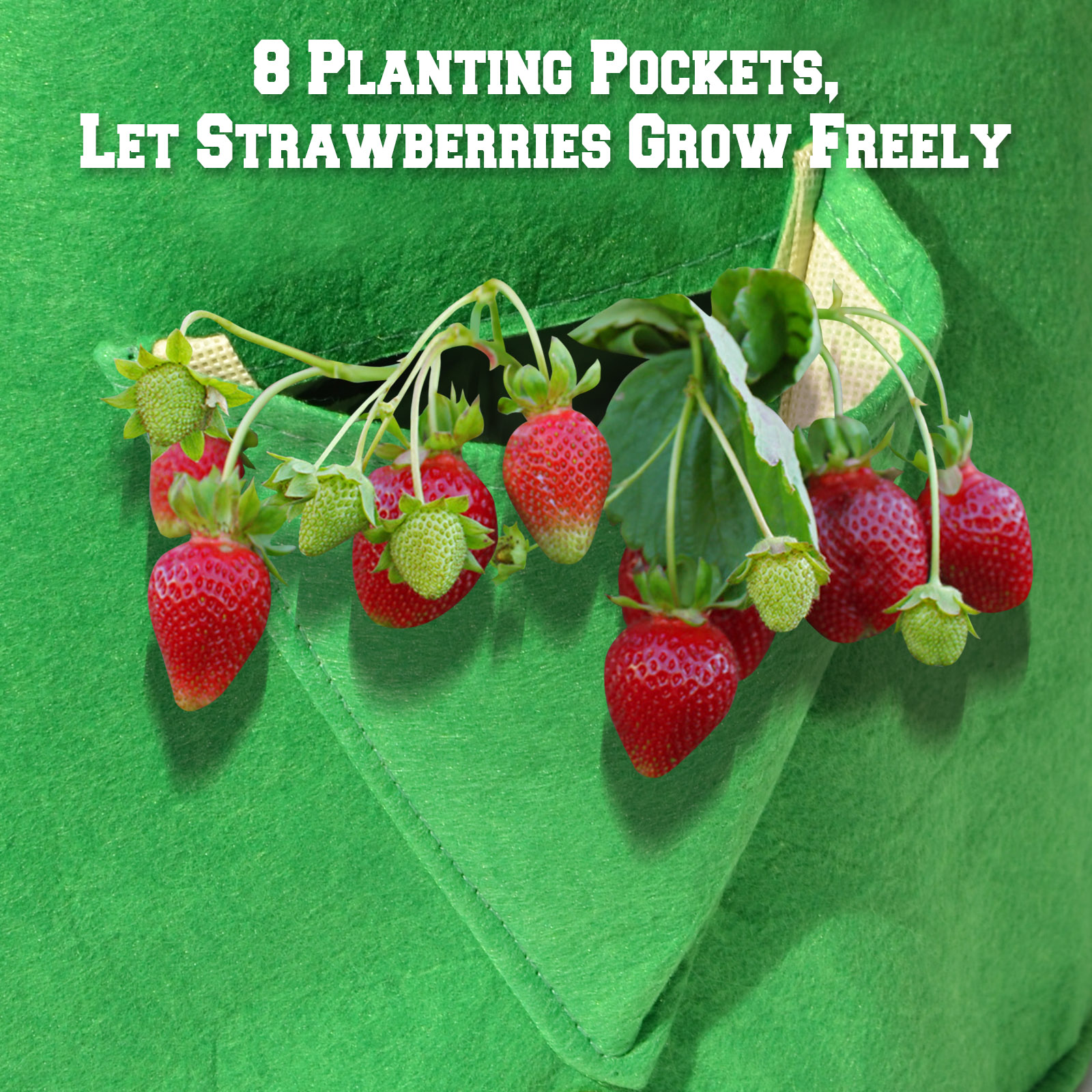 Strong Camel Planter Bag Felt Fabric Garden Planting Bag Grow Strawberry and Herb Plant Tub 3 Pack