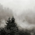 thumbnail image 2 of Bell, Nicholas 12x12 Gold Ornate Wood Framed with Double Matting Museum Art Print Titled - Rising Mist, Smoky Mountains, 2 of 4
