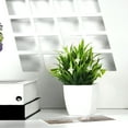 thumbnail image 5 of Aodebiao summer flower Small Fake Plants in Pot Artificial Plant Eucalyptus Faux Potted Greenery Wheal Grass for Home Decor Indoor Bathroom Office Desk Shelf Bedroom Kitchen Cabinet Decorations, 5 of 6