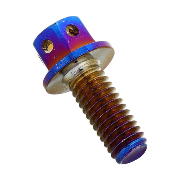 KONTONTY Hemoton 4pcs License Plate Screws for Vehicle Registration Plate Car Hardware M6x12mm Automotive Mounting Bolts Accessories