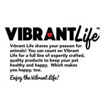 Vibrant Life Luxe Cuddler Pet Dog Bed, Medium, 27" x 21"