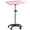 Pink, variant on Salon Tray On Wheels Tattoo Tray Rolling Trolley Adjustable Height Storage Utility Cart for Clinic Spa Rolling Tray (Silver)