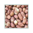 thumbnail image 2 of Wild Bird Food, Raw Peanuts, 5-Lbs. -RP05, 2 of 4