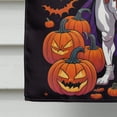 thumbnail image 5 of White Boxer Witchy Halloween House Flag 28 in x 40 in, 5 of 7