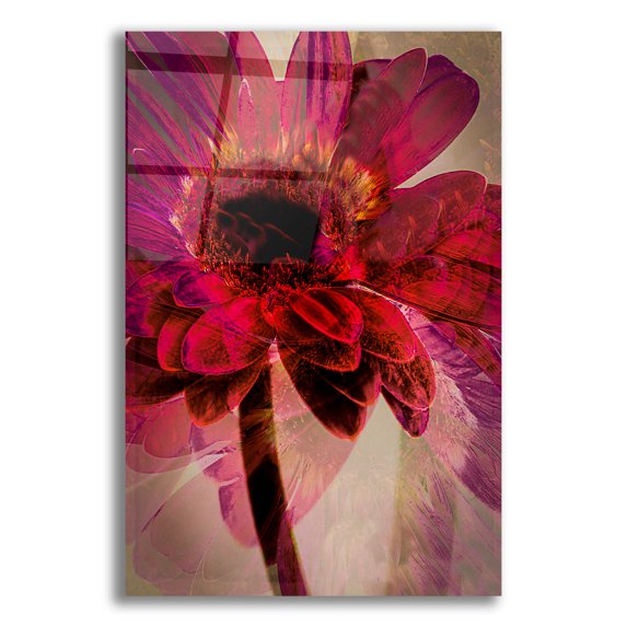 Epic Art 'Disco Nights' by Pamela Plummer, Acrylic Glass Wall Art, 16"x24"