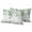 White, variant on Sage Green Eucalyptus Leaves Outdoor Pillow Covers 20x12 Set of 2,Waterproof Patio Throw Pillowcase Protectors,Spring Summer Botanical Lumbar Decorative Pillow Shams Cushion Covers for Seat Bed Couch