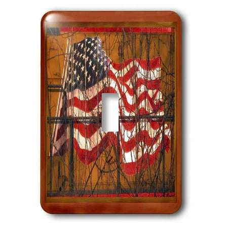 3dRose, Train Flag, single toggle switch