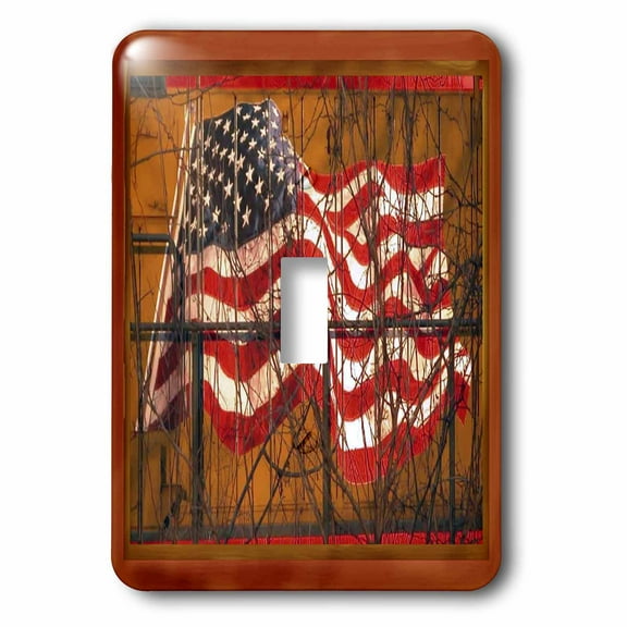 3dRose, Train Flag, single toggle switch