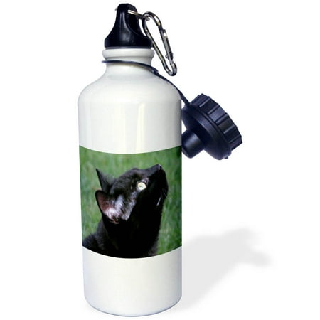 

3dRose Black Cat Looking Up Sports Water Bottle 21oz