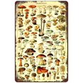 thumbnail image 1 of Retro Funny Metal Sign Sheet Signs Tin Sign,Mushroom plant samples, illustrations, atlas , 8 x 12 Inches, 1 of 4