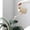 Beige, variant on 2L Watering Can for Indoor Plants | Long Spout Watering Kettle with Removable Nozzle | Lightweight Plastic Plant Waterer for Home Gardening Flowers & Potted Plants