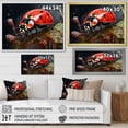 thumbnail image 4 of Designart "The Serene Curiosity Of A Crimson Ladybug III" Ladybug Canvas Art Print, 4 of 7