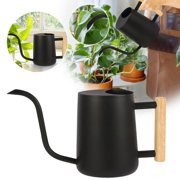 Stainless Steel Watering Can, 1 Litre for Indoor Plants, Indoor Metal Watering Can - 1 Litre Small Stainless Steel, Swan Design, Long Spout for House Plants, Modern, Decorative, Kingtowag