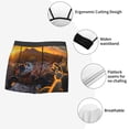 thumbnail image 3 of Honeii Lizard With Sunglasses Sunset Print Mens Boxer Briefs Breathable,Boxer Brief for Men, Moisture-Wicking Underwear-Large, 3 of 5
