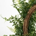 thumbnail image 4 of Vickerman 24" Artificial Green Buckler Fern and Grass Wreath., 4 of 5