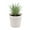 M, variant on HAZIUA Uguisu Small Mini Plants Succulents Artificial Succulents Plastic Simulation Plants Pots Bathroom Farmhouse Cubicle Decoration. 5.1*3.9 in J