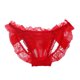 thumbnail image 1 of Gibobby Ropa Interior para Mujer Ropa interior encaje para mujer Transpirable Sexy Ligero Bragas suaves（Rojo，Talla única), 1 of 5