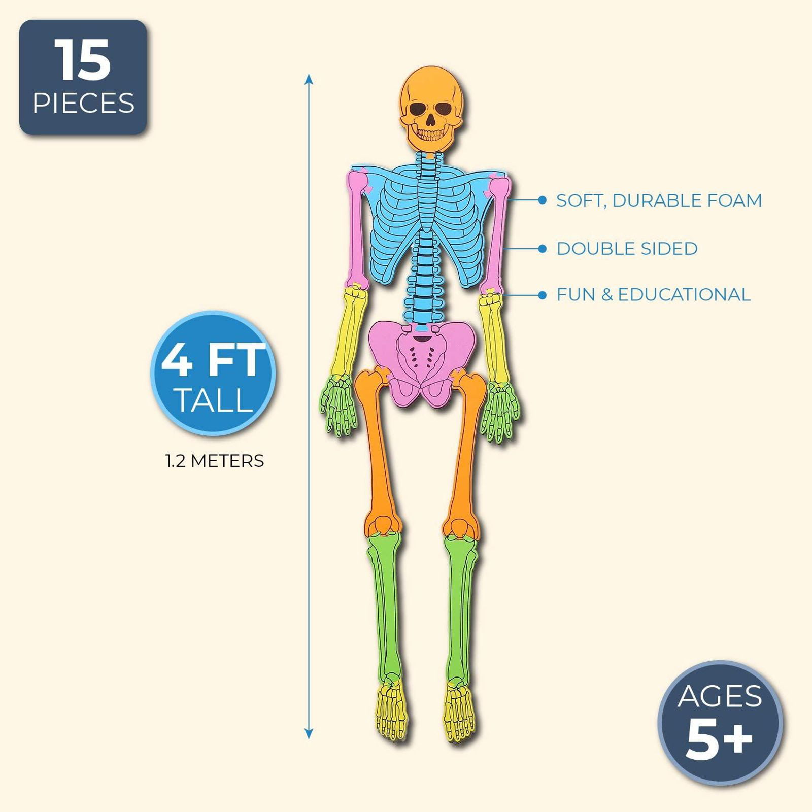 7 FOOT VINYL BONES PUZZLE Set Learning Activity Skeletal Therapy Skeleton School 