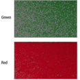 thumbnail image 3 of Grade Pool Table Billiard Cloth Pool Table Felt Fits Standard 9 Foot Table For Indoor Billiard Pool Table Cloth Accessories Hs, 3 of 5