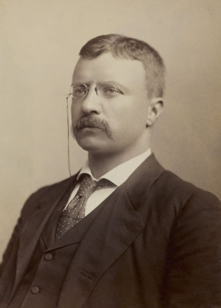 Colonel Theodore Roosevelt History (24 x 36)