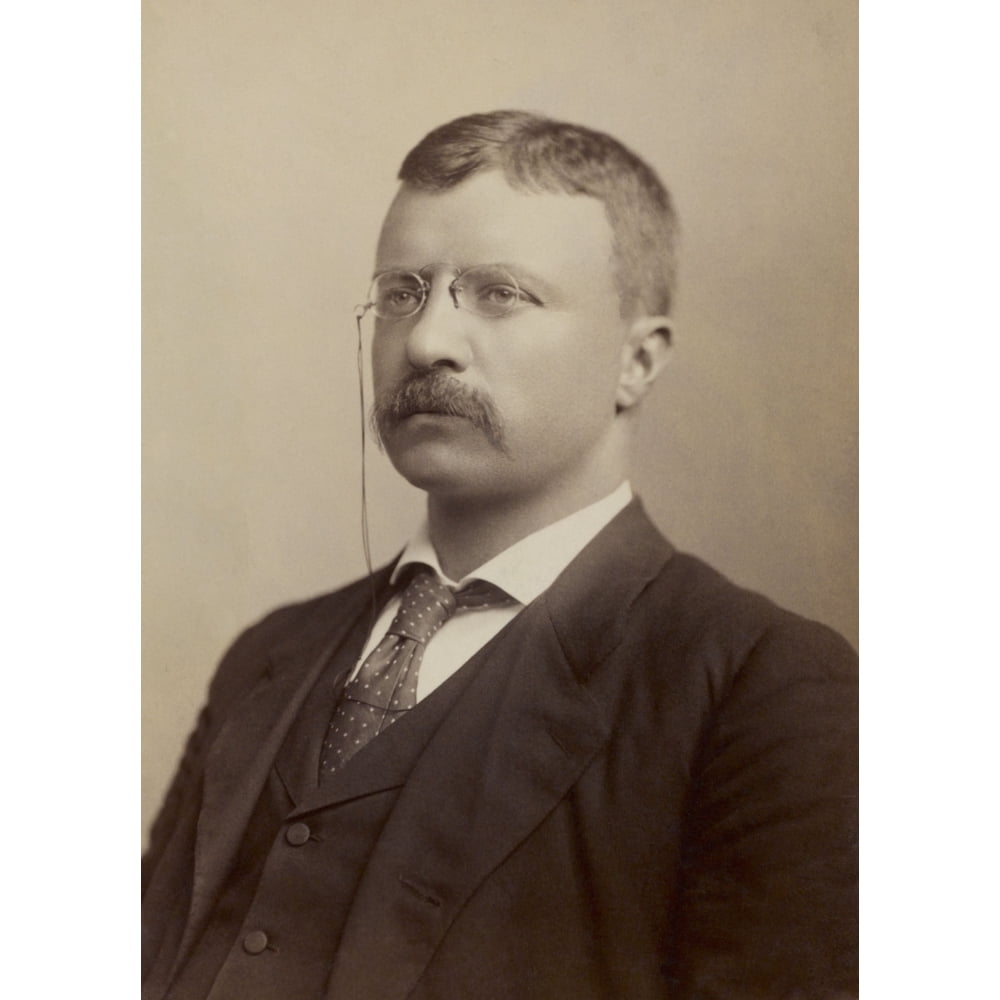 Colonel Theodore Roosevelt History (24 x 36)