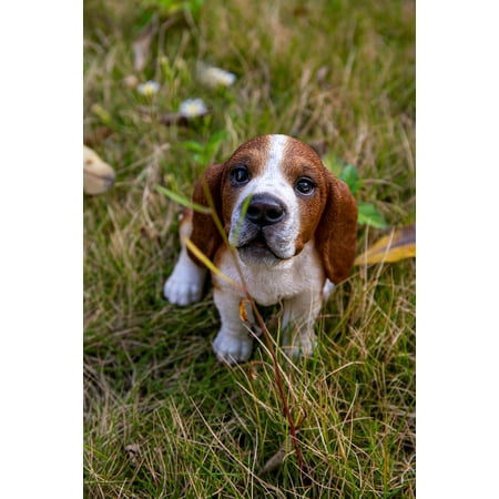 UPC: 0738362059182 | BASSET HOUND PUPPY HOWLING