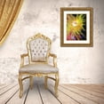 thumbnail image 3 of Vision Studio 15x18 Gold Ornate Wood Framed with Double Matting Museum Art Print Titled - Graphic Sea Anemone II, 3 of 4